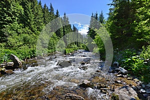 Foot bridge over the Somesul Rece river before the maguri-racatau dam.